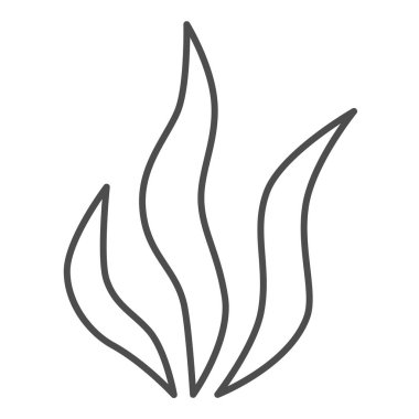 Deniz yosunu ince çizgi ikonu, okyanus konsepti, beyaz arka planda alg işareti, mobil konsept ve web tasarımı için ana hatlı sualtı deniz bitkileri simgesi. Vektör grafikleri.