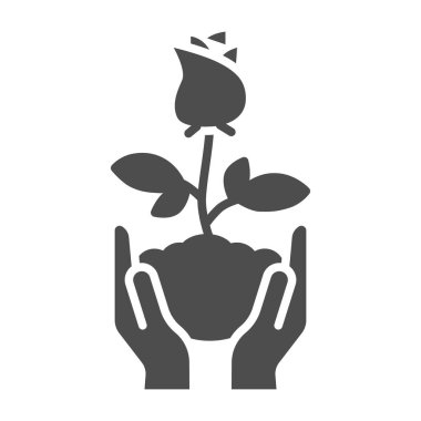 Human hands hold rose flower in soil solid icon, Floral concept, Rose blossom with leaves sign on white background, Rose flower in hands icon in glyph style for mobile. Vector graphics.