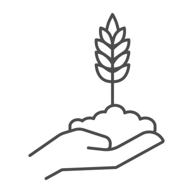Wheat spikelet on human hand thin line icon, agriculture concept, Spica grows in caring hand sign on white background, Wheat ear icon in outline style for mobile, web design. Vector graphics.