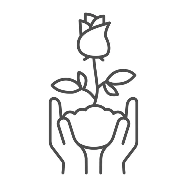 Human hands hold rose flower in soil thin line icon, Floral concept, Rose blossom with leaves sign on white background, Rose flower in hands icon in outline style for mobile. Vector graphics. — Wektor stockowy