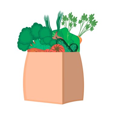 Beyaz arka planda sebzeli kağıt torba. Çiğ salatalık, domates, havuç, maydanoz. Sağlıklı yaşam tarzı kavramı. Vektör illüstrasyonu.