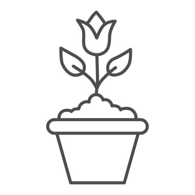 Çiçek saksısı ince çizgi ikonu, çiçek kavramı, çiçek saksısı işareti beyaz arka planda, taşınabilir konsept ve web tasarımı için ana hatlı lale çiçeği ikonu. Vektör grafikleri.