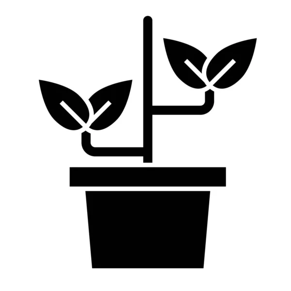 Plantera i kruka fast ikon. Grodvektor illustration isolerad på vitt. Trädgårdsdesign i glyf-stil, designad för webb och app. Eps 10. — Stock vektor
