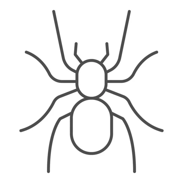 Tarantula tunn linje ikon, Insekter koncept, skrämmande stora spindel tecken på vit bakgrund, farliga tarantel ikon i kontur stil för mobila koncept och webbdesign. Vektorgrafik. — Stock vektor