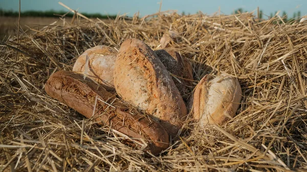 麦田里有不同类型的面包.收获在村庄的概念。在干草和天空背景上烤新鲜面包.在锥形的小穗上放热面包.面包概念的划分. — 图库照片