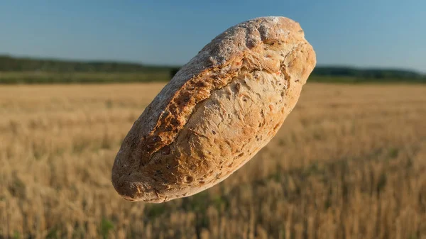 Pão suave no ar no fundo de campos. Conceito de cozedura caseira. Pão fresco assado no fundo do feno e do céu. Pão de trigo no fundo de espiguetas. Colheita no conceito de aldeia. Pão voador. — Fotografia de Stock