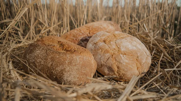 麦田里有不同类型的面包.自制烘焙概念。干草和天空背景下的小麦面包.新鲜的烤面包在斜纹小穗上.面包概念的划分. — 图库照片