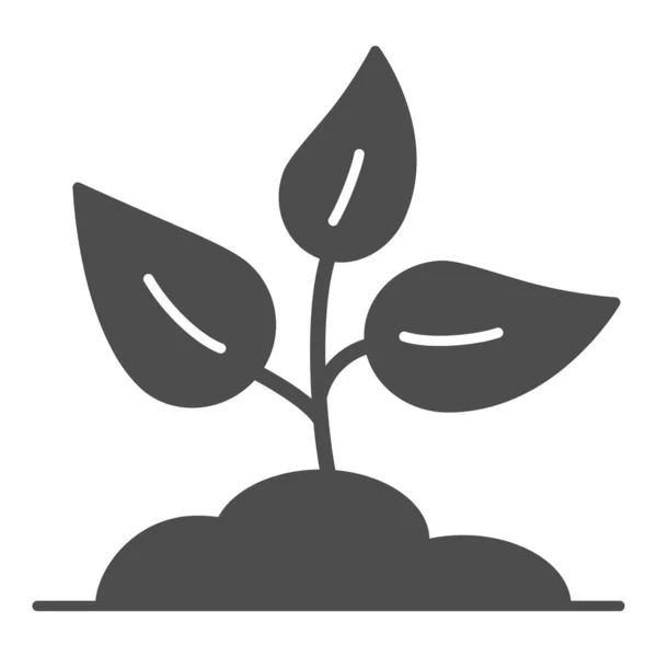 Groddar i jord fast ikon, Trädgård och trädgårdskoncept, Planttecken på vit bakgrund, Ung växt som växer i jord ikon i glyf stil för mobil och webbdesign. Vektorgrafik. — Stock vektor