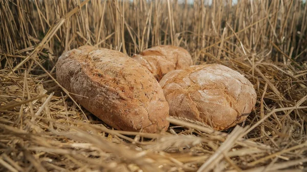 麦田里有不同类型的面包.自制烘焙概念。在干草和天空背景上烤新鲜面包.小穗上的麦片。面包概念的划分. — 图库照片