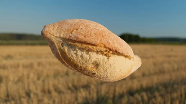 在田野的背景上漂浮在空中.自制烘焙概念。在干草和天空背景上烤新鲜面包.小麦背景上的软面包.收获在村庄的概念。飞行面包. — 图库照片