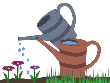 iki sulama olabilir gri kir ve pembe mor papatya çiçek karikatür vektör çizim üzerinde damla sulama çim üzerinde turuncu