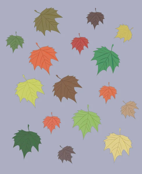 Colorful Maple Leaves Set Isolated Gray Autumn Background — Stock Vector