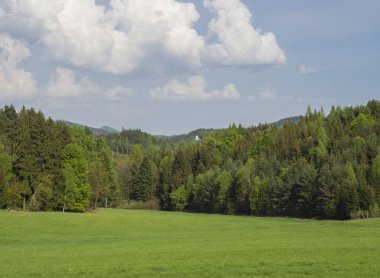 pastoral bahar peyzaj yemyeşil yeşil çim çayır, taze yaprak döken ve Ladin ağacı orman, küçük Şapel ve tepeler, mavi gökyüzü beyaz bulutlar arka plan, yatay, kopya alanı ile