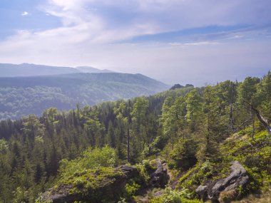 Jizera Mountains (jizerske hory) panorama, yemyeşil yeşil çam ormanı ve mavi gökyüzü, beyaz bulutlar arka plan, bahar görünümü