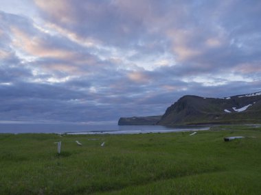 Kuzey vahşi yaz gece yarısı güneş manzara, görünümü güzel kayalıklarla Hloduvik Cove Batı fjords doğada üzerinde rezerv Hornstrandir İzlanda, yeşil çayır, deniz kıyısında plaj, ahşap günlükleri ve günbatımı gökyüzü, pembe mavi bulutlar arka plan ile
