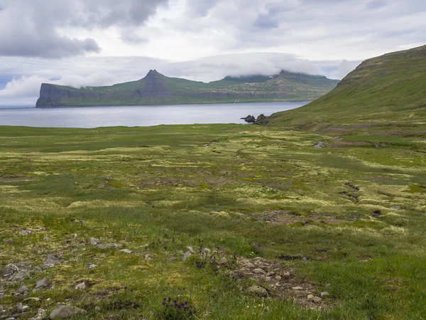 风景秀丽的 Hornbjarg 峭壁在西部峡湾 遥远的自然保护区 Hornstrandir 在冰岛 与绿色草甸 小河和山 蓝色海和多云天空背景 — 图库照片