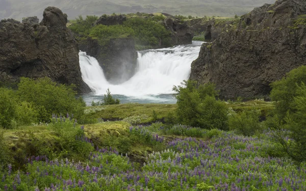 Hjalparfoss Dwukrotnie Wodospad Południowej Islandii Skał Wulkanicznych Mech Zielony Łąka — Zdjęcie stockowe