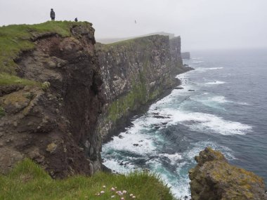Güzel Latrabjarg kayalıklarla, Avrupa'nın en büyük kuş cliff ve milyonlarca kuş cliff, okyanus dalgaları ve pembe çiçekler, Batı Fjords İzlanda, seçici focu duran iki kişiyle evine