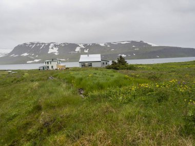 Terk edilmiş köyde Heysteri İzlanda Batı fjords uzak doğa rezerv Hornstrandir görünüm, yemyeşil yeşil çimen, fjords, okyanus defne kar örtmek tepeler ve huysuz gri gökyüzü ile küçük beyaz evler 