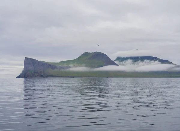 Мальовничим Видом Океану Красиві Hornbjarg Кручі Заході Фіорди Природний Заповідник — стокове фото