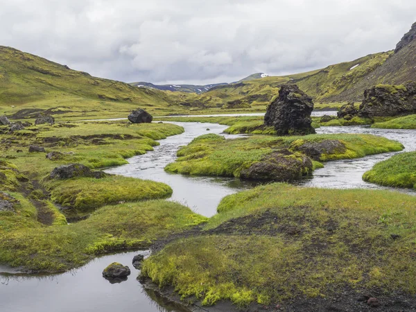 Landscape Lush Green Grass Moss Water Stream Lagoon Lava Rock — Stock Photo, Image