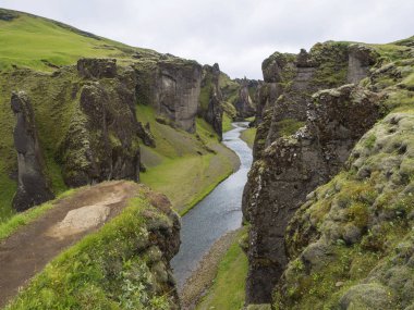 Nehir akarsu ve yeşil yosun kaplı uçurumlar ve İzlanda'daki fjadrargljufur gorge tepelerde görüntüleyin, çiçekler ve mavi gökyüzü arka plan ile çimen
