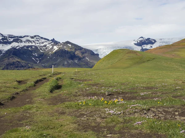 Çimen patika ve hill buzul Skaftafellsjokull, Vatnajokull mahmuz Skaftafell Park, South Iceland manzaralı — Stok fotoğraf