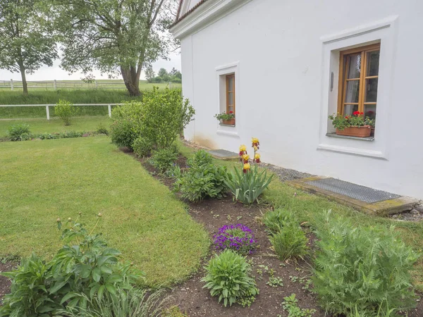 Macizo de flores de colores contra la fachada de la casa blanca con ventanas en la granja — Foto de Stock