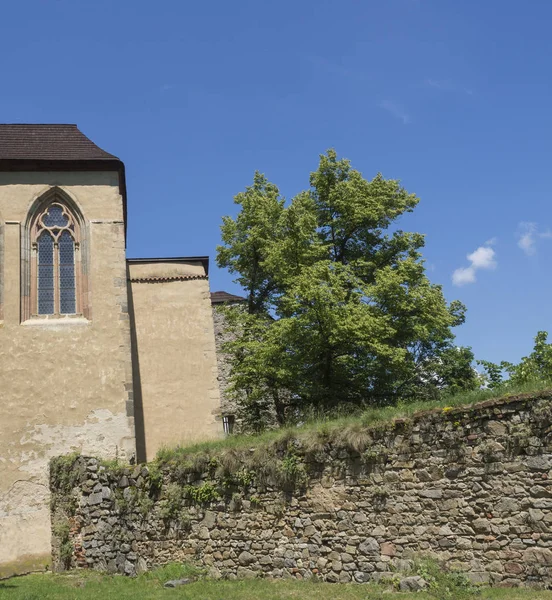 Vecchio muro di pietra, facciata gotica con finestra, albero verde e sfondo cielo blu — Foto Stock