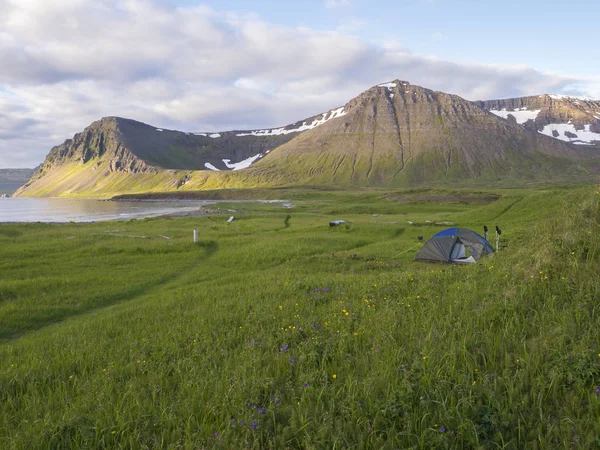 Solo pequeña tienda de campaña de pie en el camping cala Hloduvik con prado de hierba verde, Skalarkambur montaña, troncos de madera y sendero, Hornstrandir, fiordos del oeste, Islandia — Foto de Stock