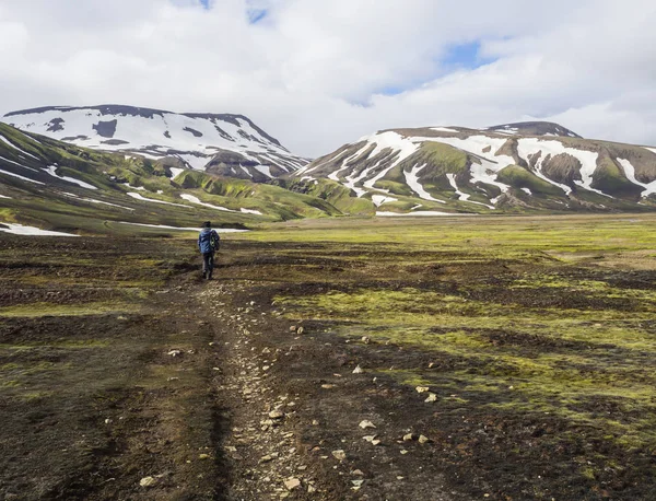 Patika, yeşil çim yosun çayır ve kar üzerinde yürüme yalnız adam uzun yürüyüşe çıkan kimse İzlanda doğa rezerv Fjallabaki rhyollite dağlarda şapkalı — Stok fotoğraf