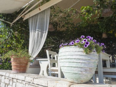 Geleneksel Yunan tavernası, rahat bir avlu dekore renkli çiçekli beyaz kil tencere ve yeşil asma üzüm ile asılı Merkez over. Akdeniz kırsal, Korfu Adası.