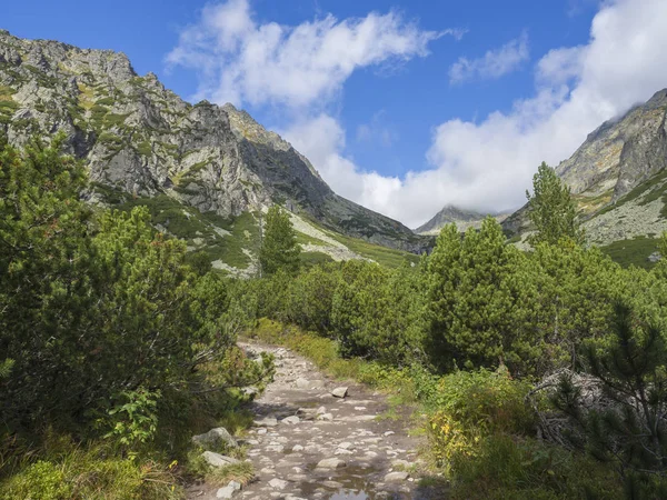 Sendero Strbske Pleso Hermosa Naturaleza Con Pinos Pico Montañoso Rocoso — Foto de Stock