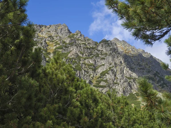 Όμορφη Απότομη Βουνοκορφές Που Πλαισιώνεται Από Πεύκα Βουνό Τάτρα Σλοβακία — Φωτογραφία Αρχείου