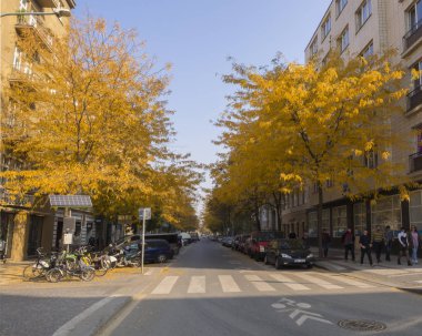 Çek Cumhuriyeti, Prag, Karlin, 18 Ekim 2018: Krizikova sokak park edilmiş arabalar ve bisiklet, insanlar ve sonbahar sarı renkli rowan ağaç dalları ile.