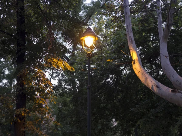 Lanterne Vintage Éclairée Début Crépuscule Paysage Automnal Dans Parc Crépuscule — Photo
