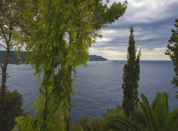 Vegetación tropical verde palmeras y árboles con vista a la bahía de Paleokastritsa, cielo nublado de verano, Corfú, Kerkyra, Grecia — Foto de Stock