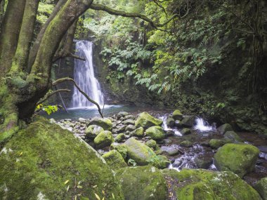 Şelale Salto de Prego Faial da Terra, Sao Miguel Island Azores, Portekiz hiking Trail sonunda yağmur ormanları ormanda