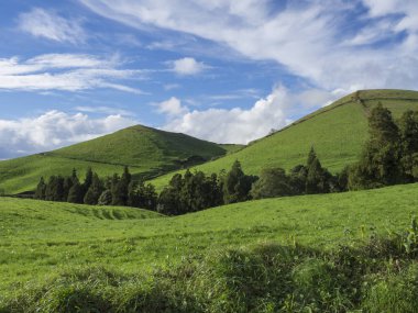 Yemyeşil yeşil çim tepeler alanları ve otlaklar, mavi gökyüzü ve beyaz bulutlar, tipik peyzaj San Miguel Island, Azores, Portekiz