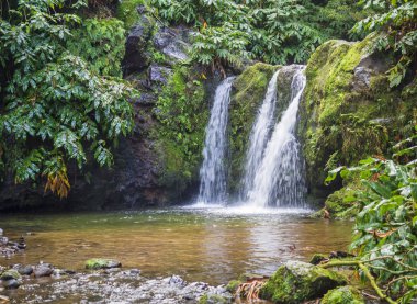 Gür yeşil orman doğa rezerv Parque doğal da Ribeira dos Caldeiroes Achada, Nordeste, Sao Miguel, Azor, görkemli şelale