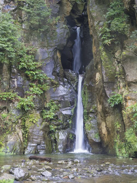 Salto do Cabrito beautiful waterfall at hiking trail falling a from rock cave in green forest, Sao Miguel, Azores, Portugal — Stock Photo, Image