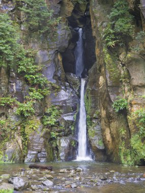 Salto yapmak Cabrito güzel şelale düşen hiking trail adlı bir kaya mağara yeşil orman, Sao Miguel, Azores, Portekiz