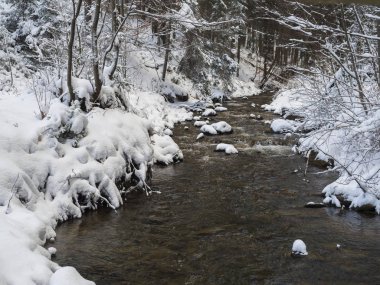 kar orman su akışı creek ağaçlar, dalları ve taşlar, pastoral kış manzara modunda altın saat güneş ışığı ile kaplı