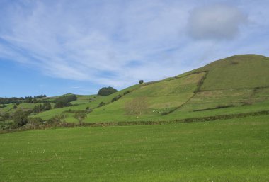 Yemyeşil yeşil çim tepeler alanları ve otlaklar, mavi gökyüzü ve beyaz bulutlar, tipik peyzaj San Miguel Island, Azores, Portekiz