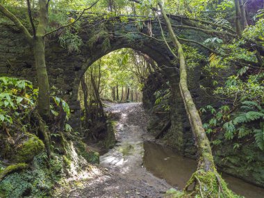 eski taş su-boru köprüsü tarafından yosun kaplı ve patika yürüyüş izinde Janela yemyeşil bitki örtüsü yapın Inferno, Sao Miguel Island, Azores, Portekiz
