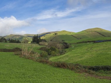 Alanları ve otlaklar, mavi gökyüzü ve beyaz bulutlar, Sao Miguel Island, Azores, Portekiz tipik peyzaj yemyeşil yeşil çim tepeler