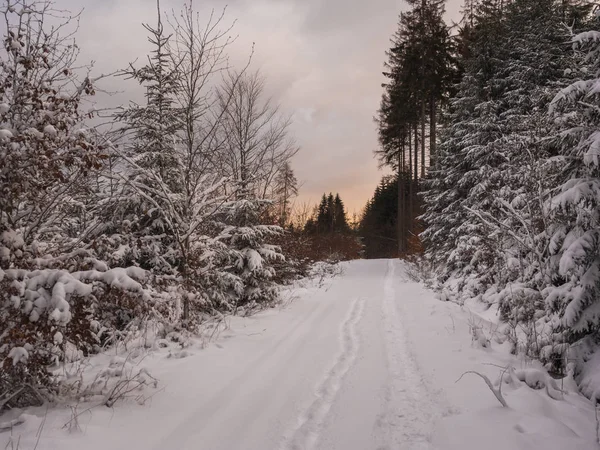 Route ou sentier pédestre dans un paysage forestier enneigé avec sapins neigeux et épinettes, branches, paysage hivernal idyllique au crépuscule, soleil couchant rose — Photo