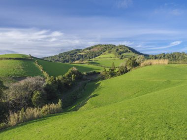 Alanları ve otlaklar, mavi gökyüzü ve beyaz bulutlar, Sao Miguel Island, Azores, Portekiz tipik peyzaj yemyeşil yeşil çim tepeler