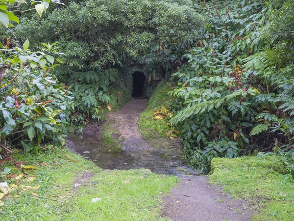 Entrance to the dark tunnel covered by moss and lush vegetation on footpath hiking trail Janela do inferno with red and yellow trail sign, Sao Miguel island, Azores, Portugal — Stock Photo, Image