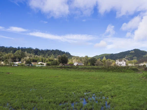 Farm house and old villa in Sete Cidades village with lush green grass and water puddle. Hills with forest and pastures, blue sky and white clouds, typical landscape of Sao Miguel island, Azores